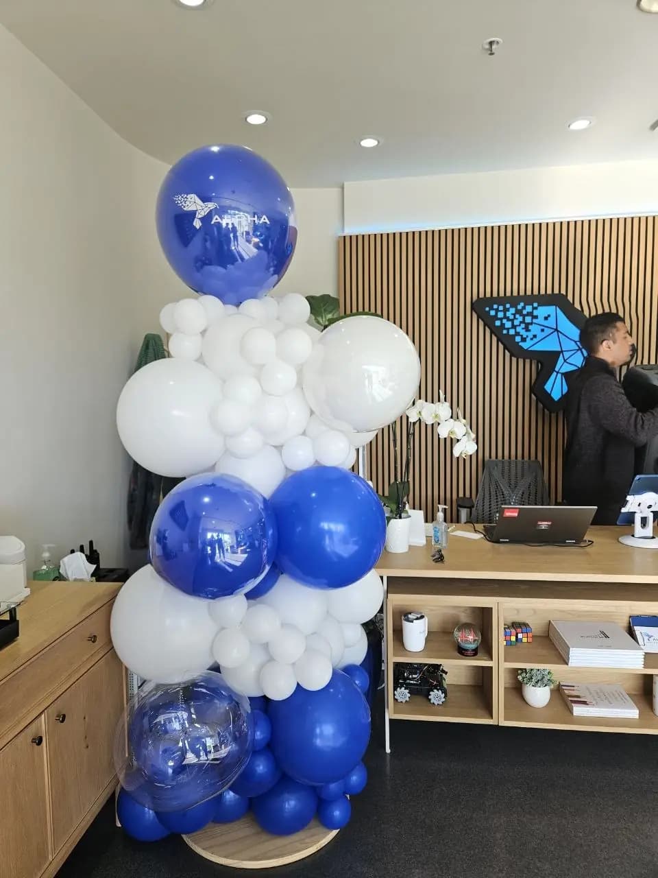 Alpha Public Schools Branded Balloon Column — view 03