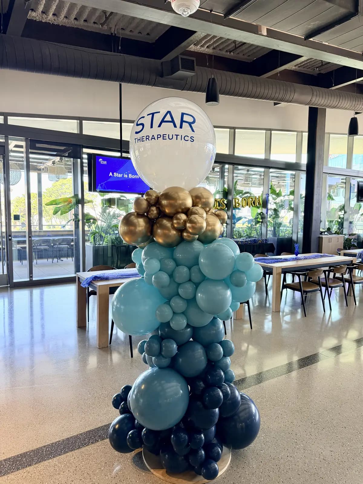 Star Therapeutics Corporate Balloon Column Office — view 03