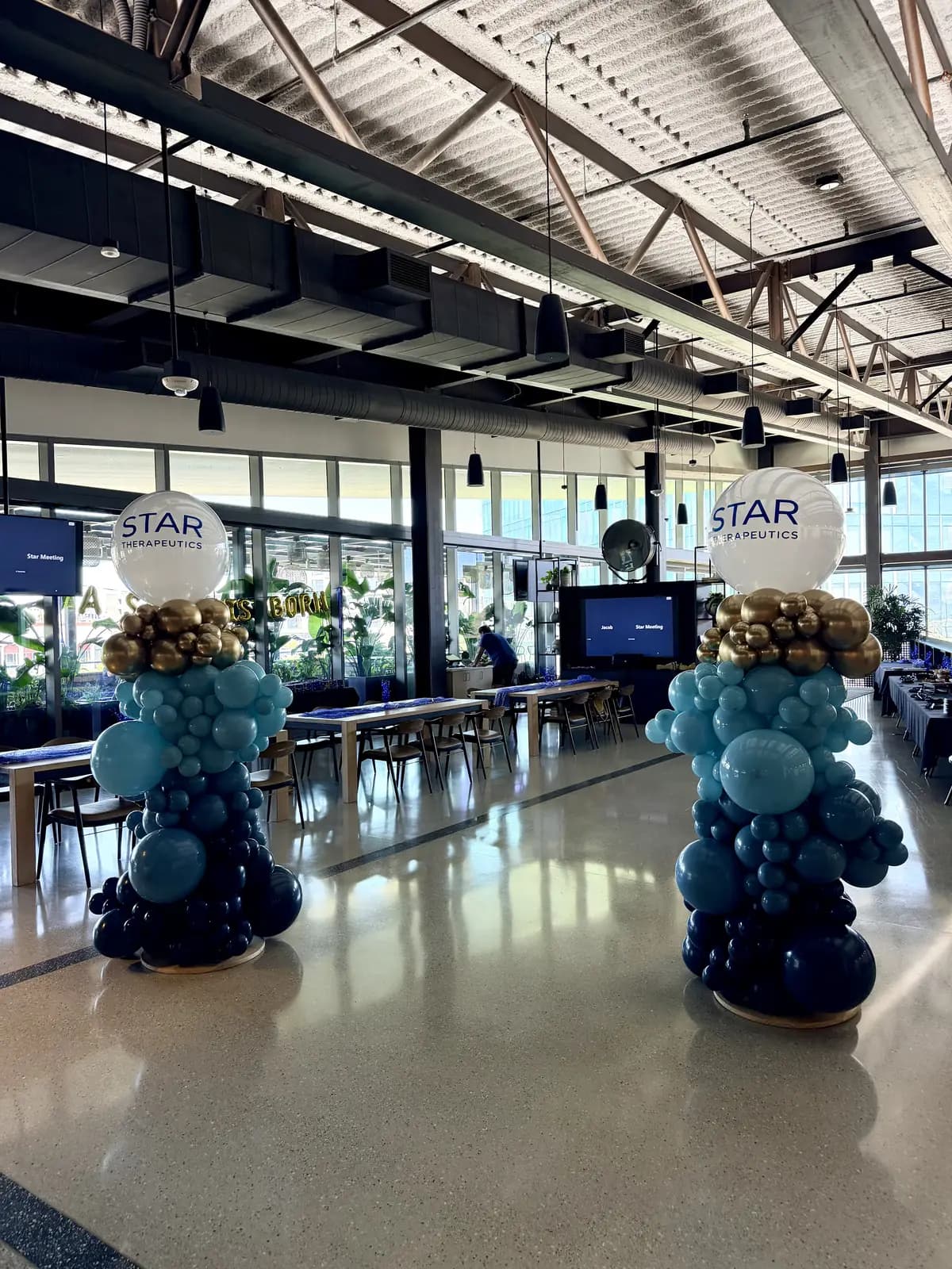 Star Therapeutics Corporate Balloon Columns Office — view 04