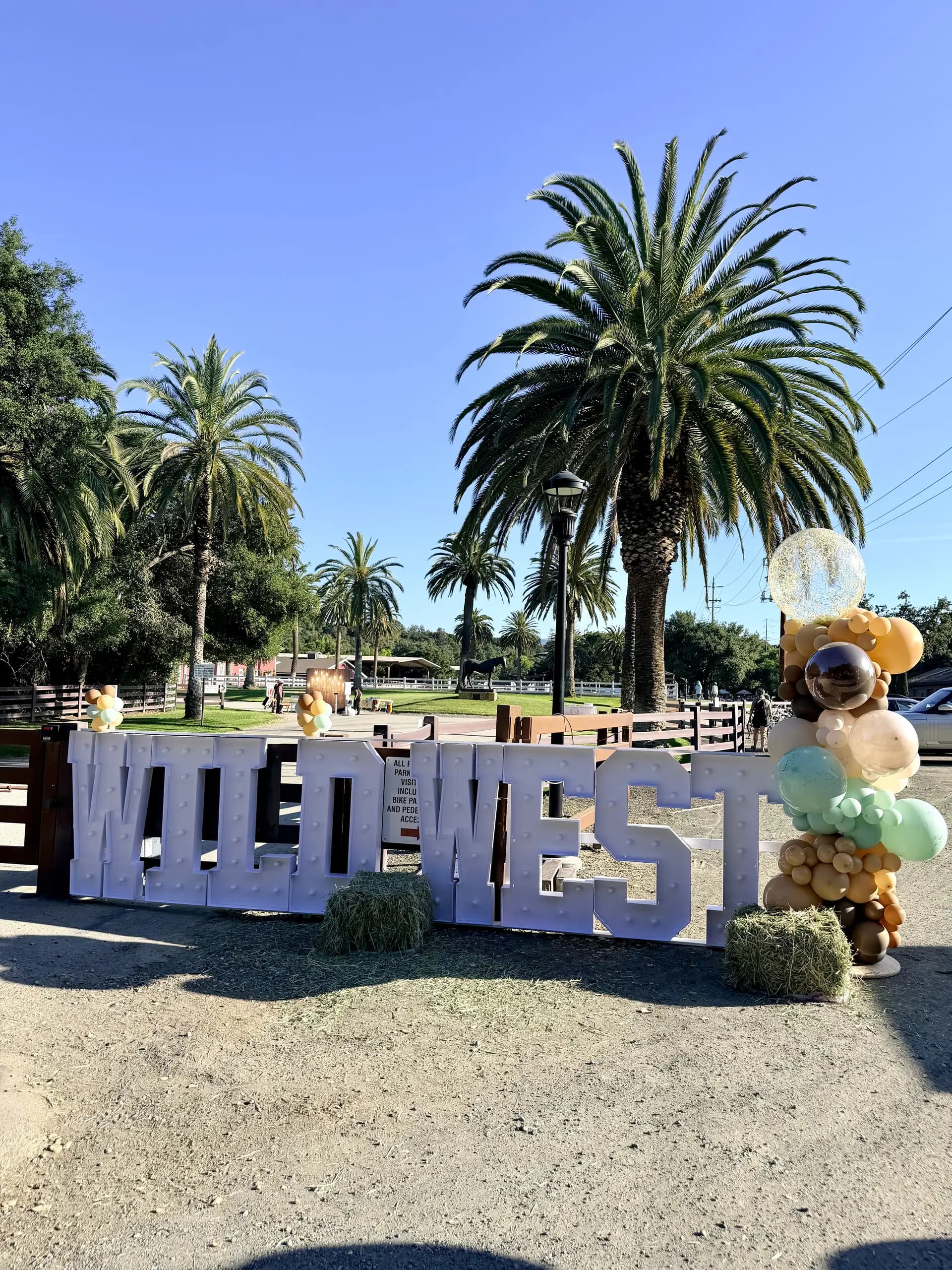 Freestanding Wild West letters and organic balloon columns for Stanford University at the Wild West Alumni Spring Party in San Francisco Bay Area, California.