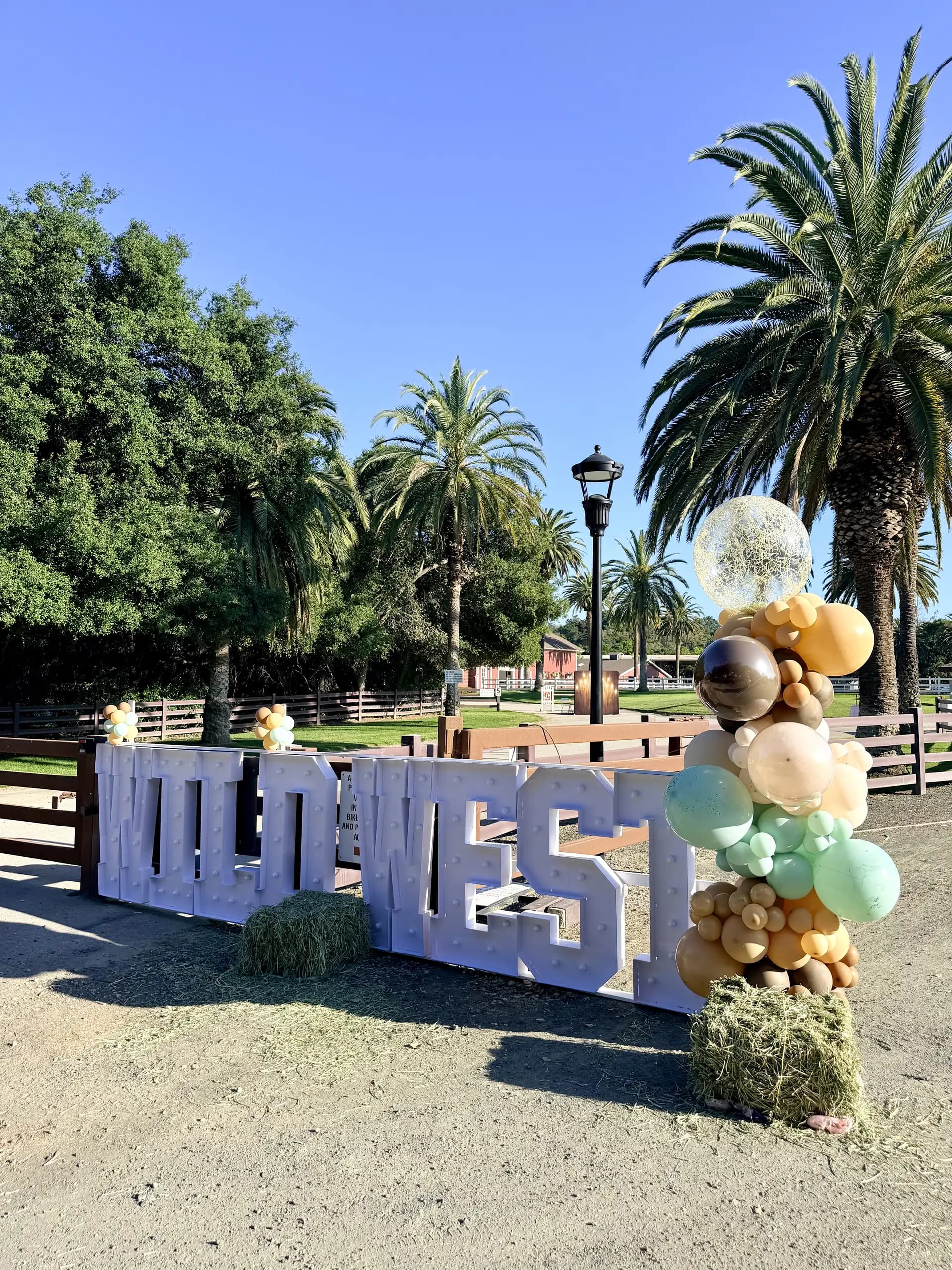 Stanford University's Wild West Alumni Spring Party in San Francisco Bay Area, California: freestanding Wild West letters and organic balloon columns, view 2 of 8.