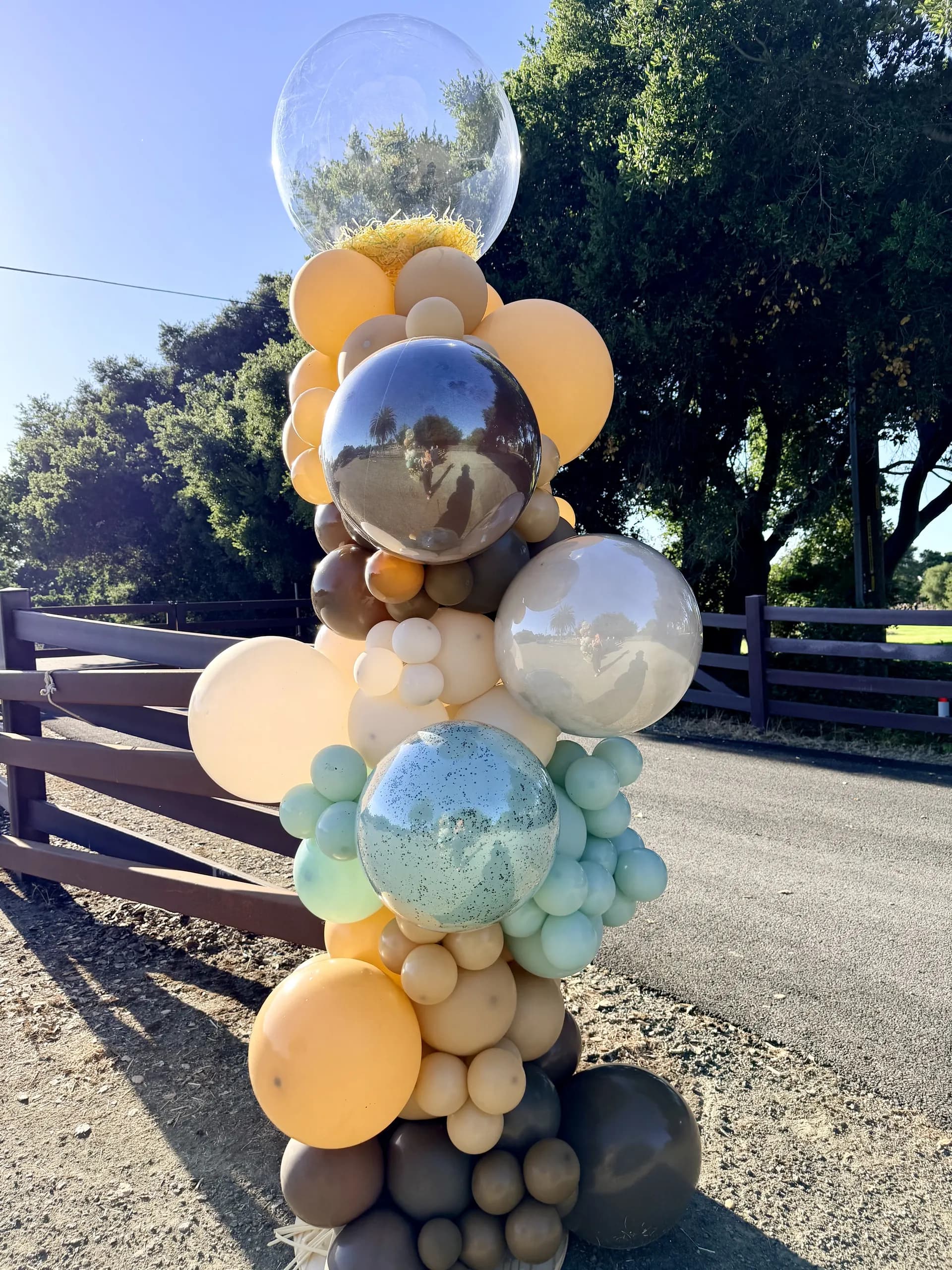 Freestanding Wild West letters and organic balloon columns produced by Balloon Décor for Stanford University in San Francisco Bay Area, California, view 3.
