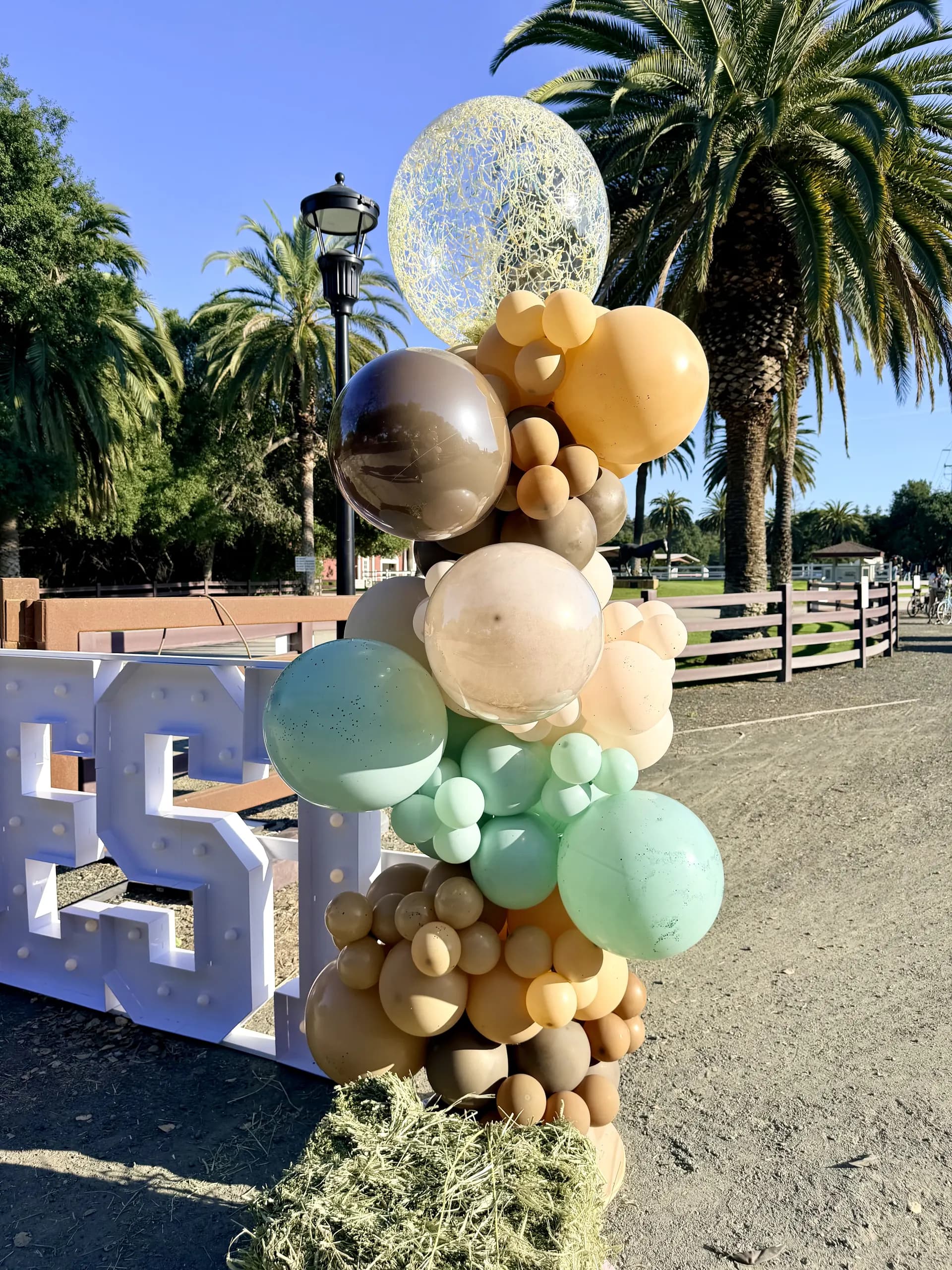 Completed freestanding Wild West letters and organic balloon columns from the Wild West Alumni Spring Party project in San Francisco Bay Area, California (image 4 of 8).
