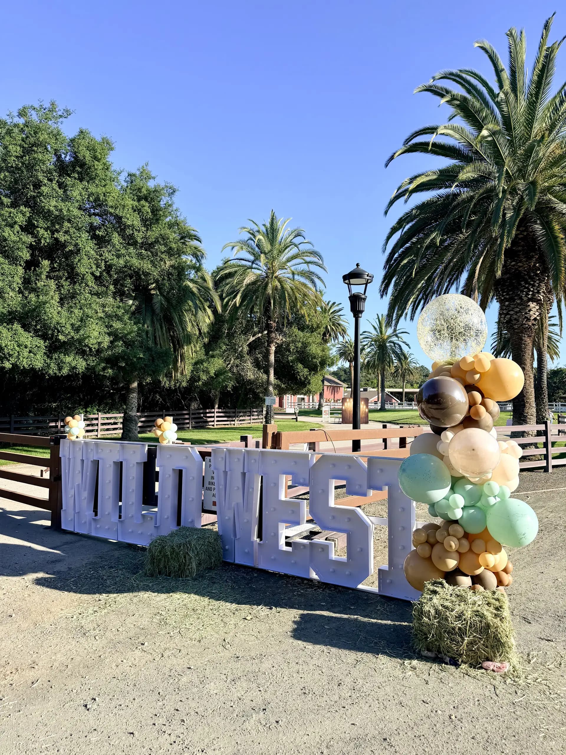 Corporate event décor by Balloon Décor: freestanding Wild West letters and organic balloon columns, San Francisco Bay Area, California — view 6.