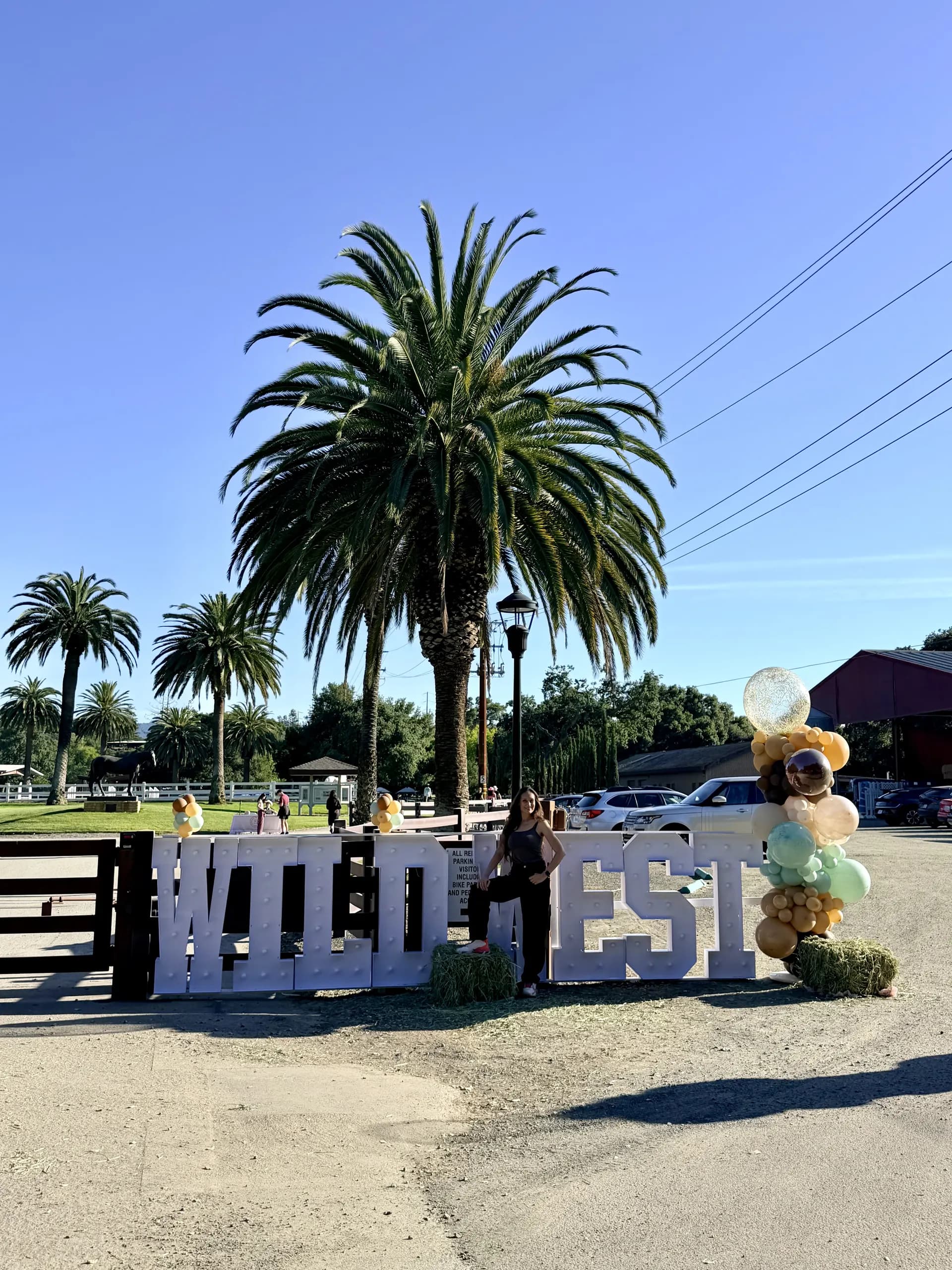 Freestanding Wild West letters and organic balloon columns, Wild West Alumni Spring Party, San Francisco Bay Area, California — view 7 of 8.